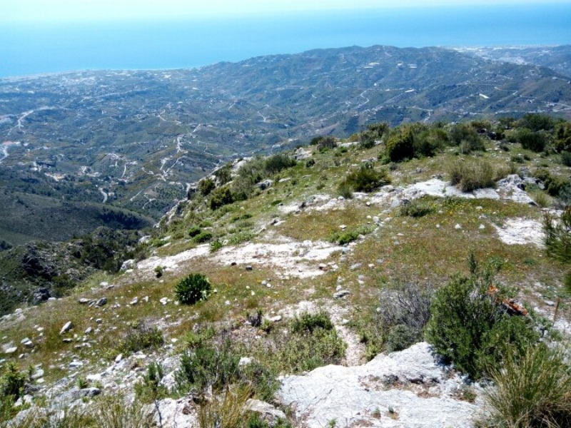 QUE-VER-EN-FRIGILIANA-CENTRO